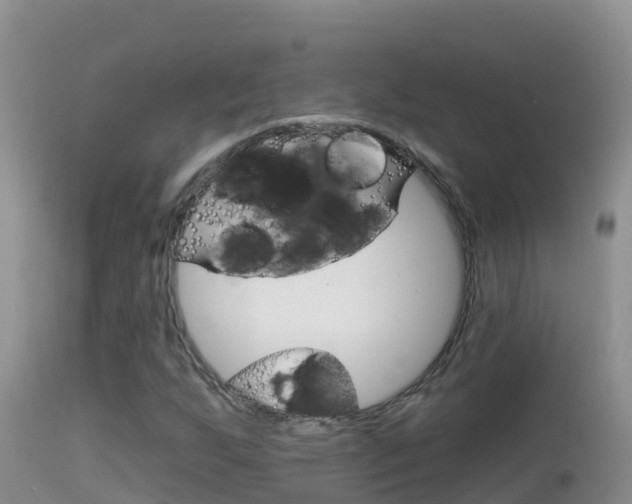 X0000114401255200910161047