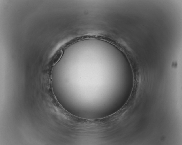X0000114401256200910161047