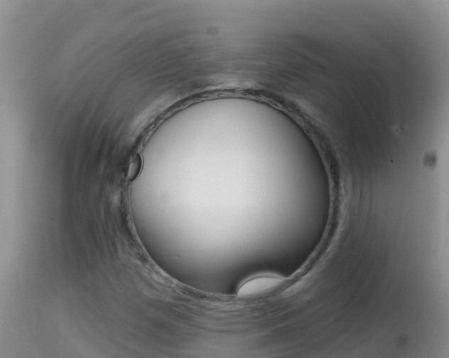 X0000114401257200910161047