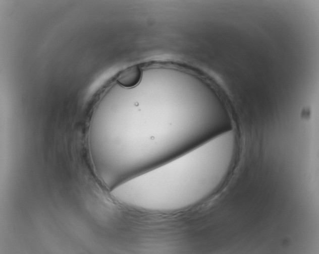 X0000114401263200910161047