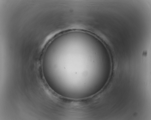 X0000114401264200910161047