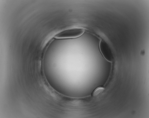 X0000114401268200910161047