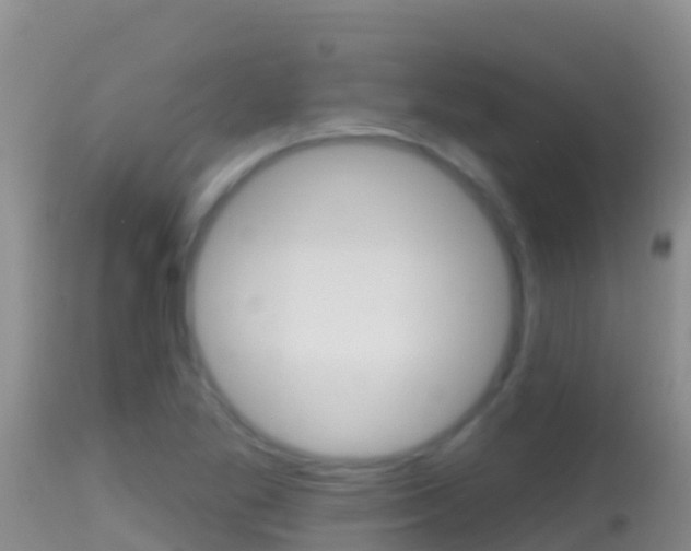 X0000114401269200910161047