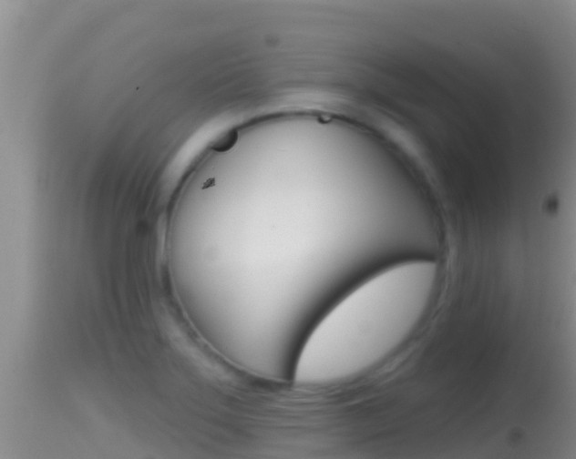 X0000114401275200910161047