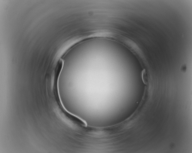X0000114401276200910161047