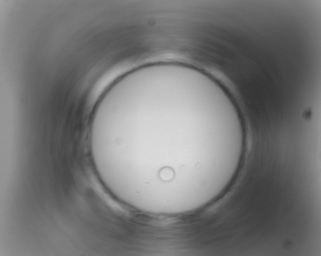 X0000114401278200910161047