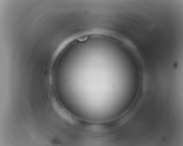 X0000114401280200910161047
