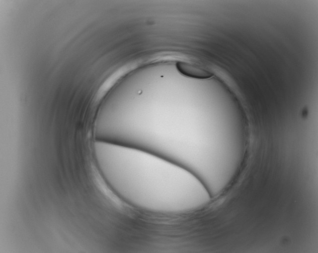 X0000114401282200910161047