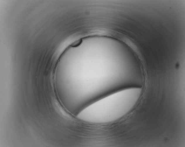 X0000114401283200910161047