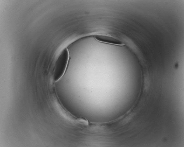 X0000114401284200910161047