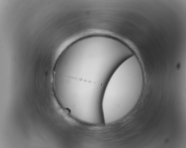 X0000114401287200910161047