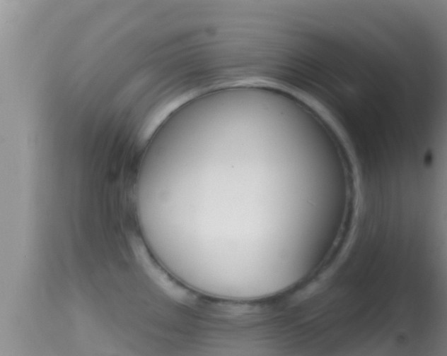 X0000114401289200910161047