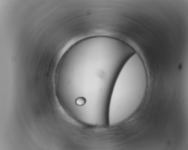 X0000114401291200910161047