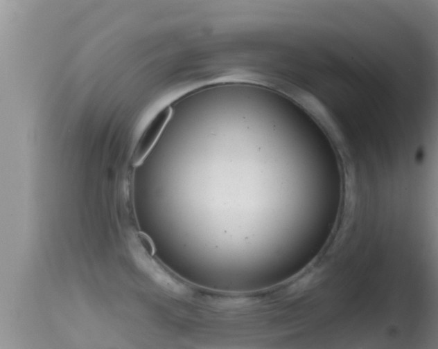 X0000114401292200910161047