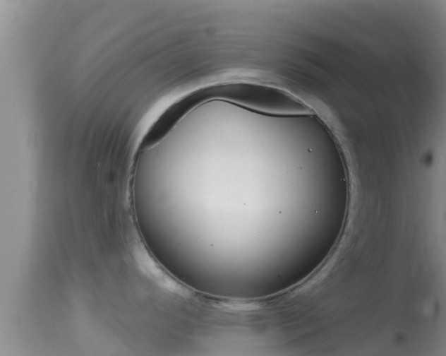 X0000114401296200910161047