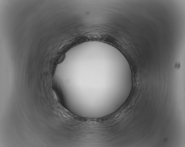 X0000114401297200910161046