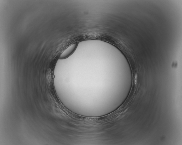 X0000114401299200910161046