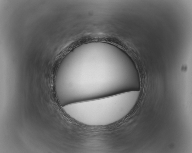 X0000114401301200910161046