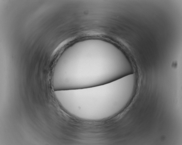 X0000114401306200910161046