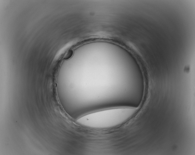 X0000114401307200910161046