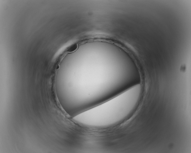 X0000114401309200910161046