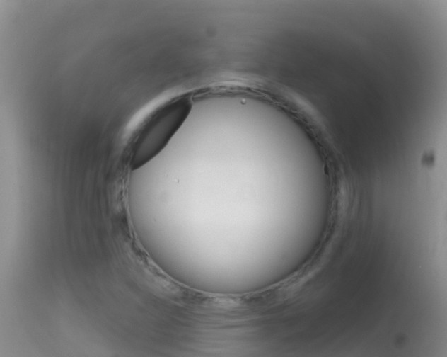 X0000114401310200910161046