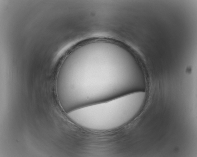 X0000114401311200910161046