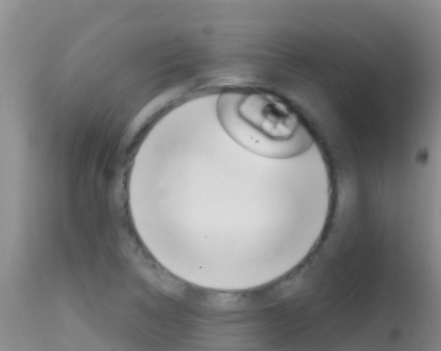 X0000114401314200910161046