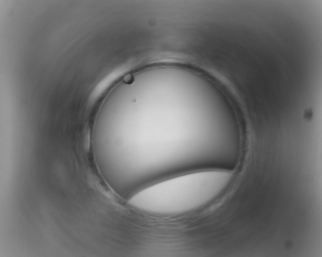 X0000114401317200910161046
