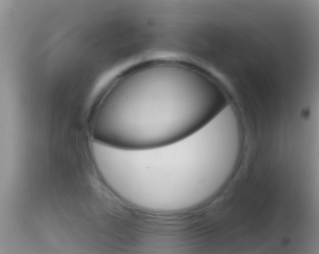 X0000114401319200910161046