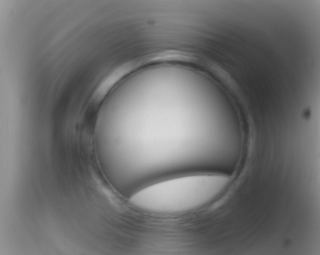 X0000114401321200910161046