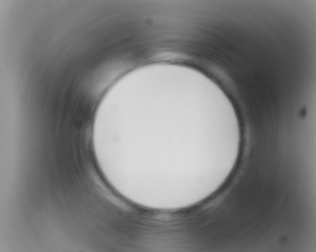 X0000114401322200910161046