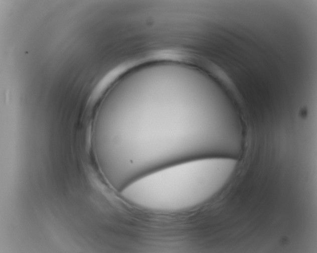 X0000114401323200910161046