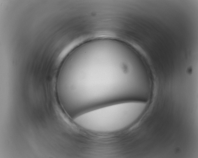 X0000114401325200910161046