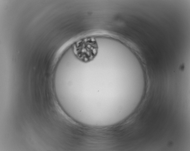 X0000114401326200910161046