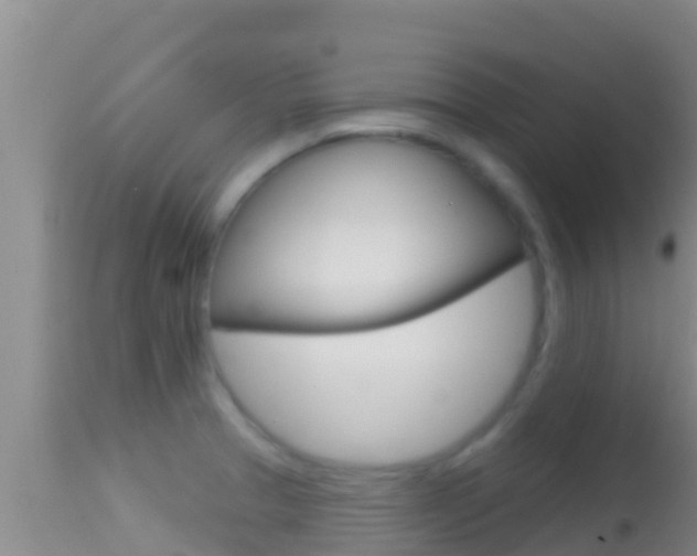 X0000114401329200910161046