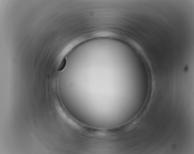 X0000114401330200910161046