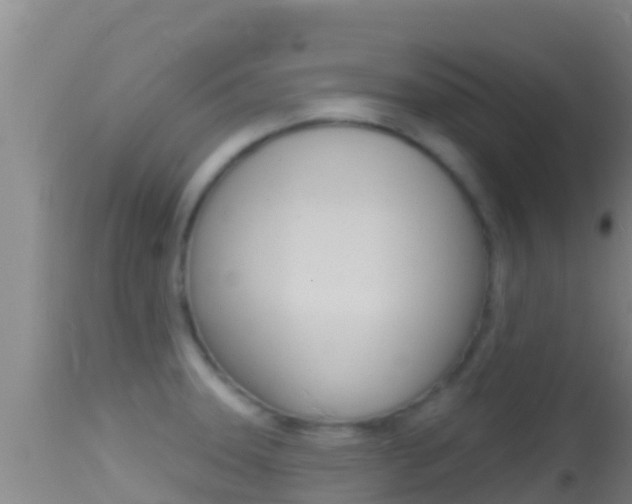X0000114401331200910161046