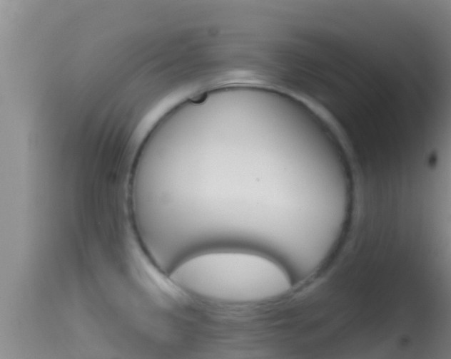 X0000114401333200910161047