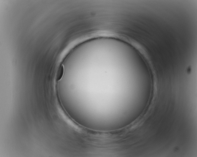 X0000114401334200910161047