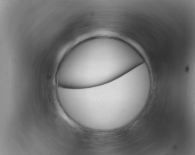 X0000114401335200910161047