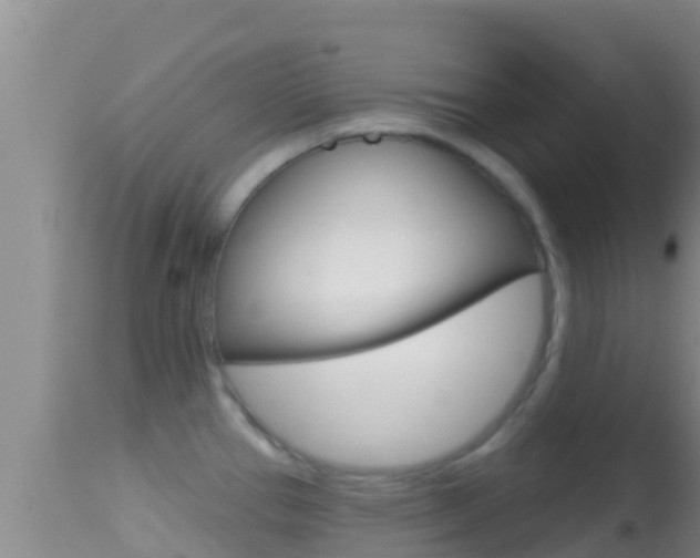 X0000114401337200910161047