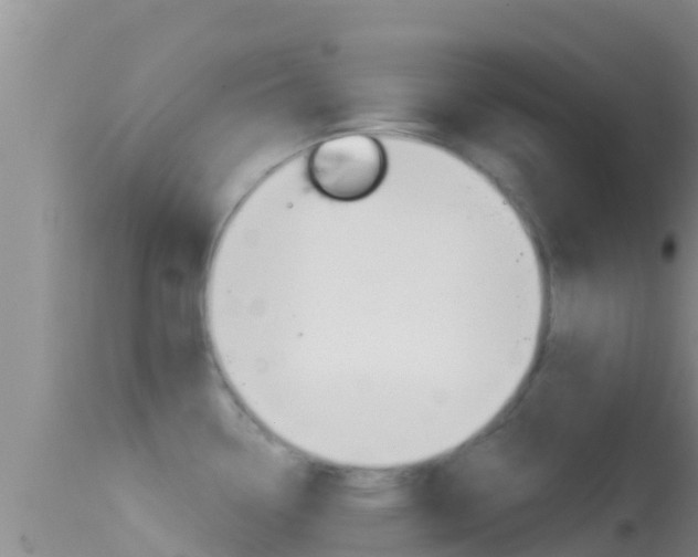 X0000114401338200910161047