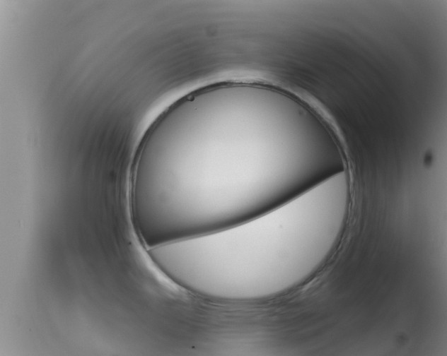 X0000114401343200910161047