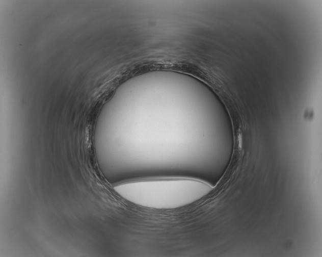 X0000114401347200910161046