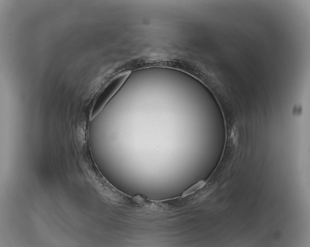 X0000114401348200910161046