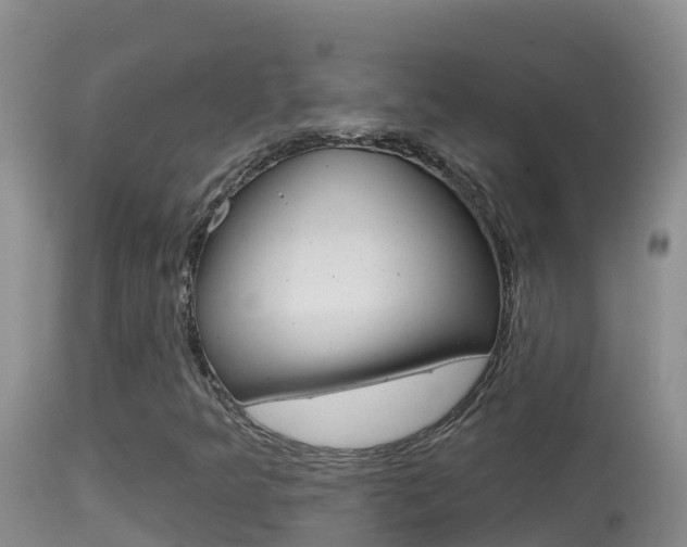 X0000114401349200910161046