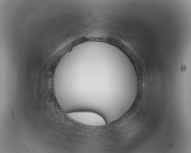 X0000114401350200910161046