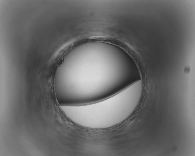 X0000114401351200910161046