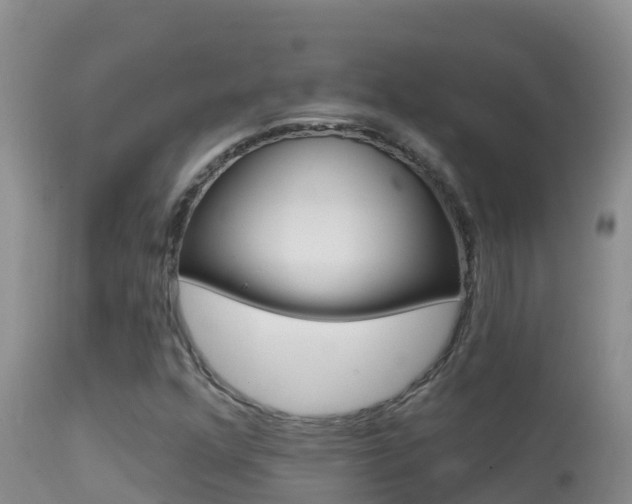 X0000114401352200910161046